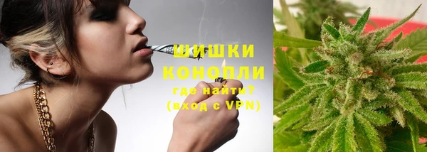 прущие грибы Богданович