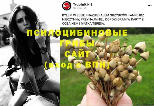 спиды Белоозёрский