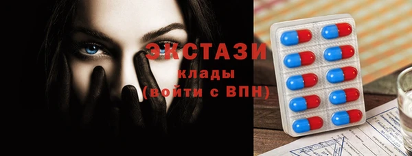 стаф Белокуриха