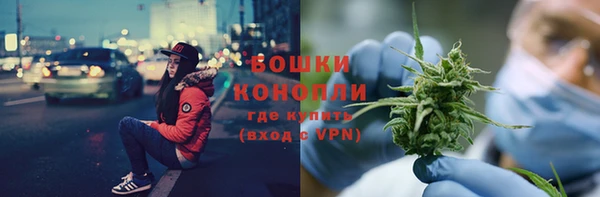стаф Белокуриха