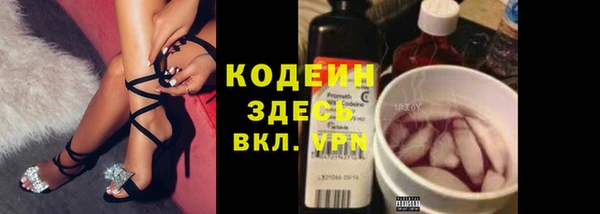 стаф Белокуриха
