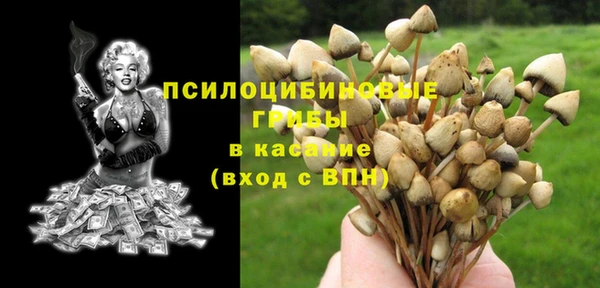 метадон Семёнов